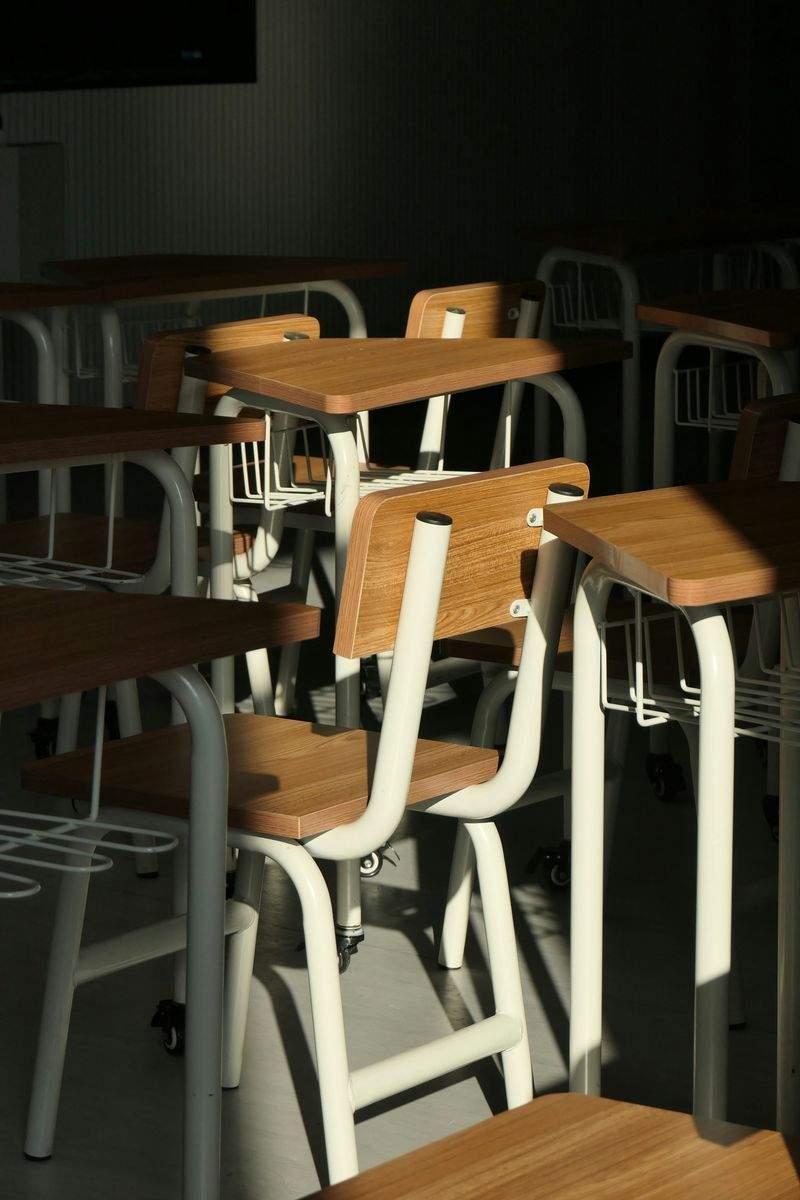 さくら未来学舎 15